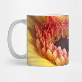 Yellow Gerber Daisy Mug